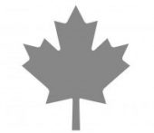 Maple Leaf