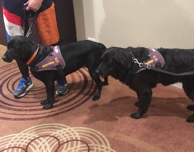 Les paniers cadeaux ont été remis à des chiens d’assistance des Jeux, comme Bruno et Vinka.