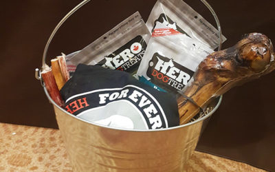 Veteran-owned Dog Treat Company Provides Gift Baskets for Invictus Games Service Dogs